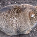  Vl@d,  -  8  2018   ...