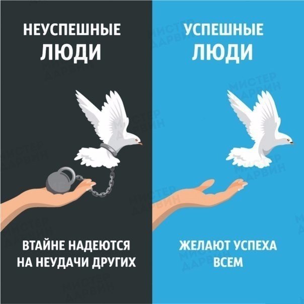  | ,  - 20  2018  02:59 - 4