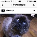 ���� Aleks, �����-���������, 48 ��� - ��������� 7 ������� 2018