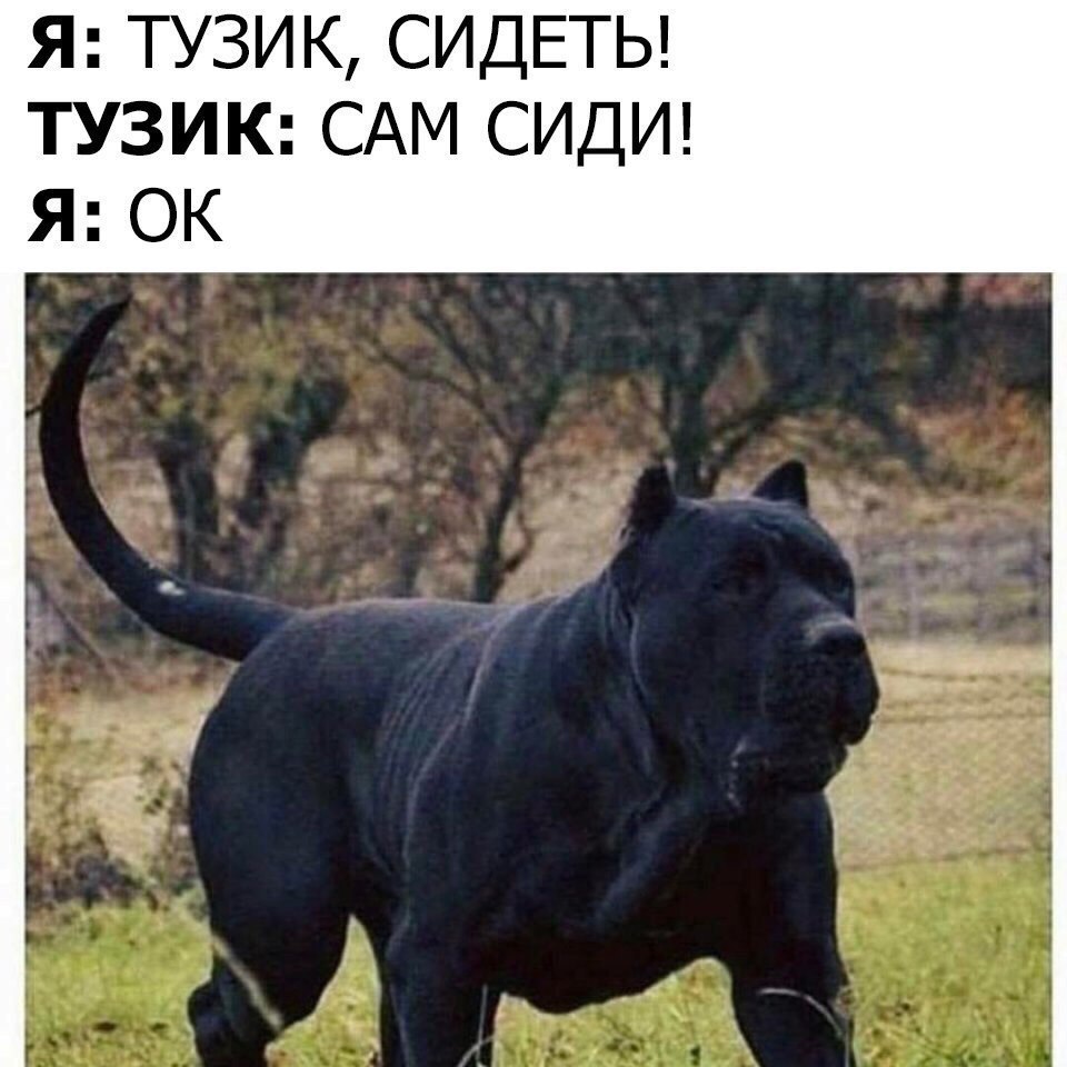  - 25  2018  03:54
