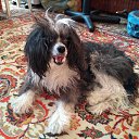 ���� Nadezhda, ��������, 64 ���� - ��������� 6 ��� 2018 � ������ ������ ��������