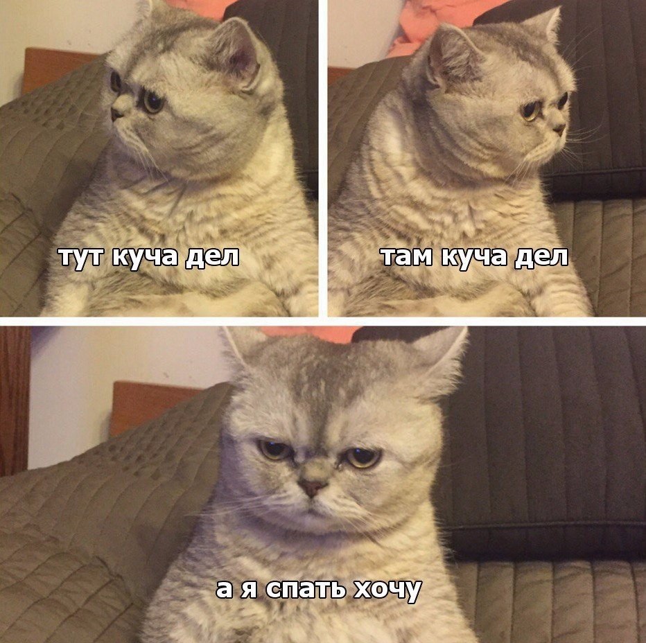 ���������������� ���� - 17 ������� 2017 � 03:47