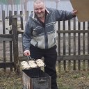 ���� ���, �����-���������, 57 ��� - ��������� 23 ������ 2017 � ������ ���� ����������