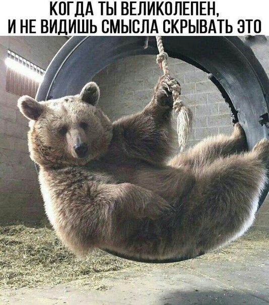 ***Victoria Viktorovna*** - 27  2018  16:43