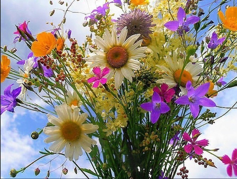    .                ...