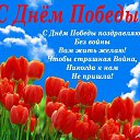 ���� ������������, ����� - ��������� 9 ��� 2018 � ������ ���� ����������