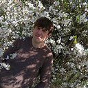 ���� �����, ���������� - ��������� 18 ������ 2018 � ������ ���� ����������