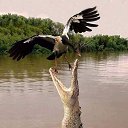 ���� �������, ������, 55 ��� - ��������� 17 ������� 2017 � ������ ������