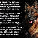 ���� ����, �����-��������� - ��������� 29 ������ 2017 � ������ ������ ��������