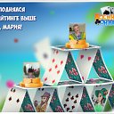 ���� ������, ������� - ��������� 31 ����� 2018 � ������ �������� �������-�������