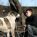 ���� �����, ����������, 40 ��� - ��������� 1 ������� 2017 � ������ ���� ����������