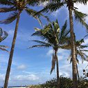  , , 45  -  19  2018    2018