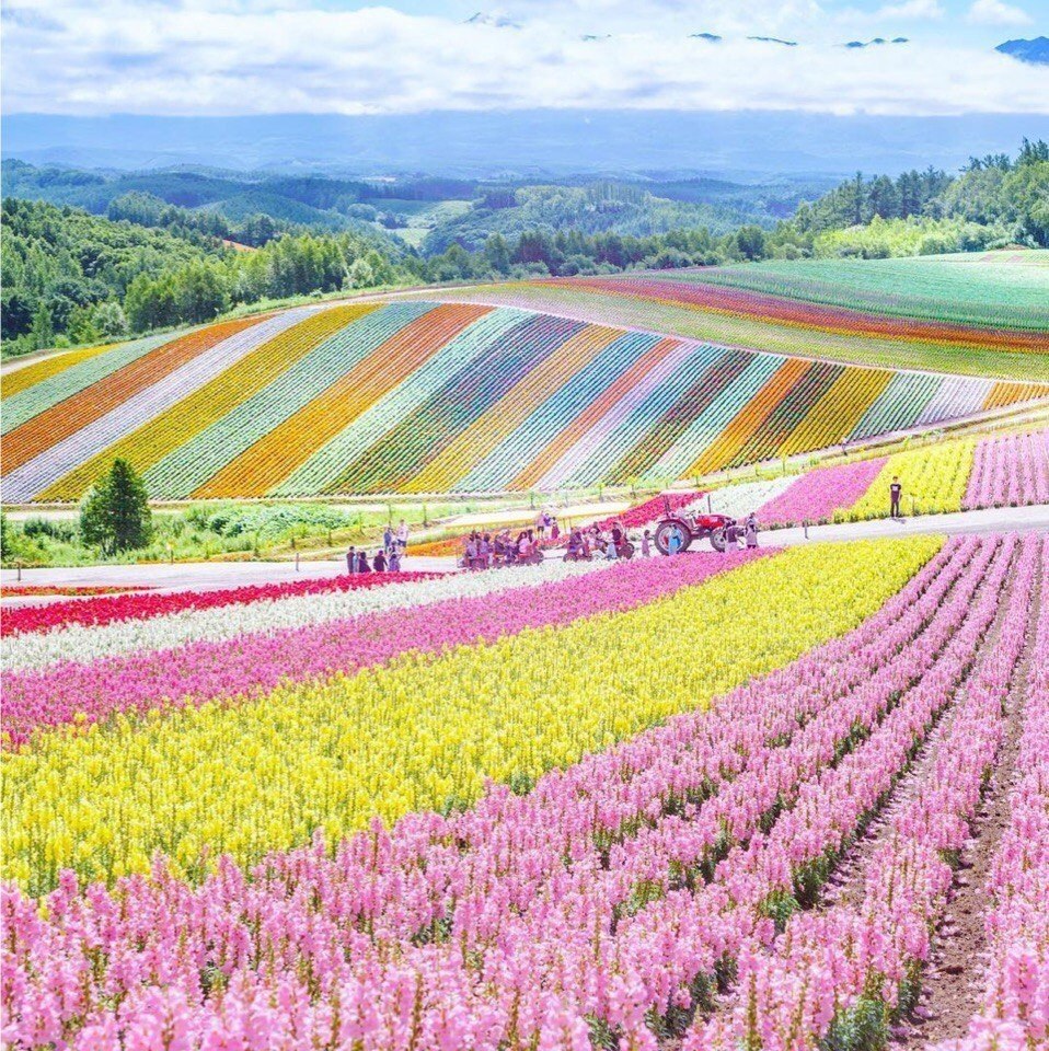 Hokkaido, Japan