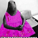 ���� �������, ������� - ��������� 8 ������� 2018 � ������ ������ ��������