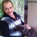 ���� ���� ������, �������, 62 ���� - ��������� 29 ������ 2017 � ������ ���� ����������