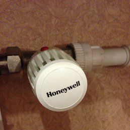 ���������, ������, 56 ���