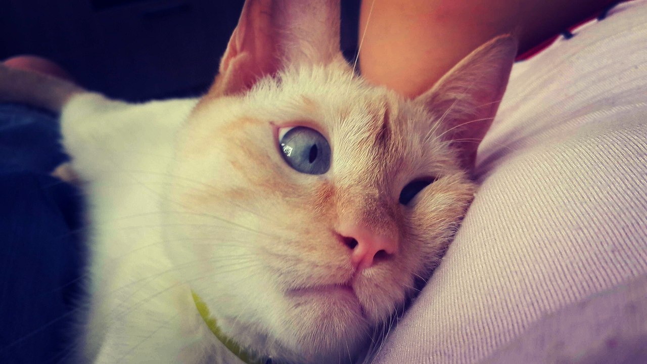 ? ? ? ...  .      . !