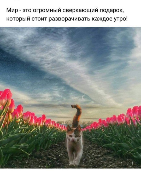 ***Victoria Viktorovna*** - 29  2018  15:08