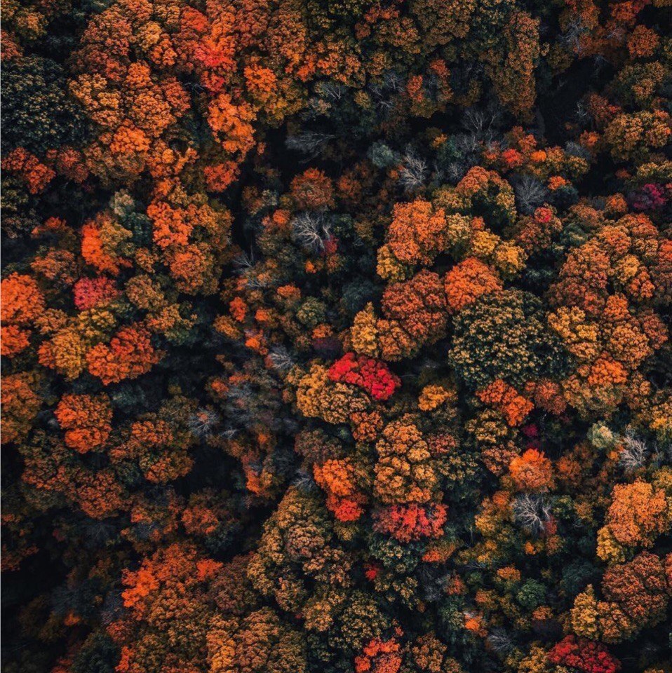 Canada - 2