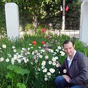 ���� �����, ������������, 49 ��� - ��������� 23 ������ 2018 � ������ ���� ����������