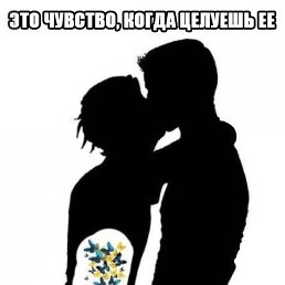 ����, �������, 56 ���