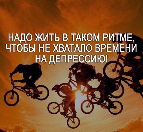    - 13  2017  03:45