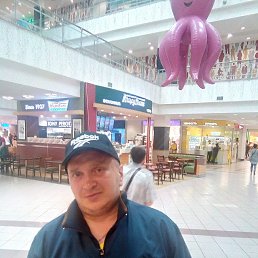 �����, ���������, 49 ���