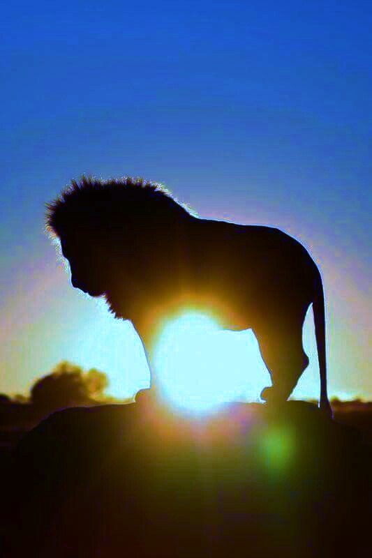 ,,..." -  ...." -  ."? ???!" - ...