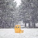 ���� �������, �����, 31 ��� - ��������� 14 ������� 2018 � ������ ������ ��������