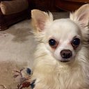 ���� �������, ����������, 56 ��� - ��������� 18 ����� 2018 � ������ ���� ����������