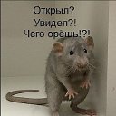 ���� �������, ������, 57 ��� - ��������� 12 ��� 2018 � ������ ���� ����������