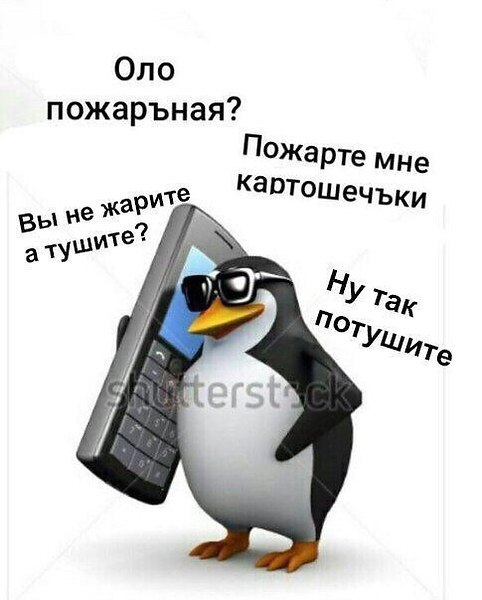     ,   D.- - 5