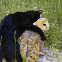 ���� ������, ������, 61 ��� - ��������� 19 ������ 2018 � ������ ������ ��������