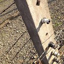 ���� ������, �������, 45 ��� - ��������� 27 ������� 2017 � ������ ������ ��������