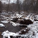 ���� ������, �����������, 62 ���� - ��������� 24 ������� 2018 � ������ ���� ����������