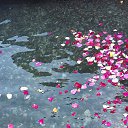 ���� �������, �����������, 53 ���� - ��������� 14 ���� 2018 � ������ ������ ��������