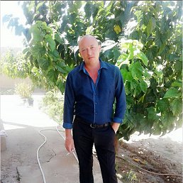 A������, ������� �����, 51 ���