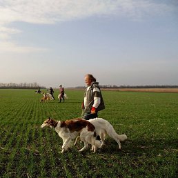 ���� ���, ��������, 66 ��� - ��������� 21 ������� 2017