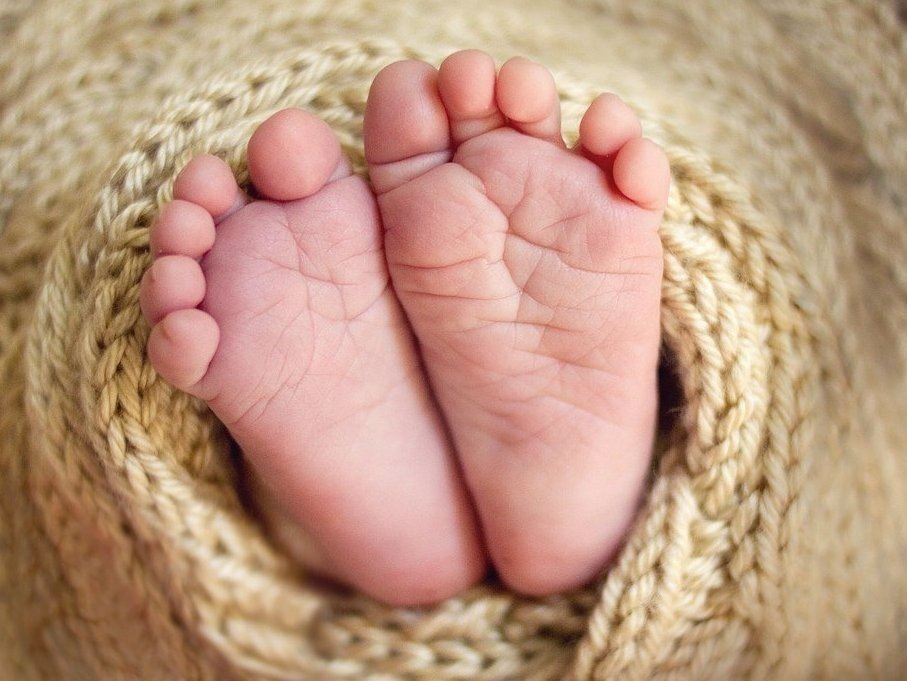 Пяточки или пятачки. Винни пух пятачок и кролик. Розовые пяточки девушек. Розовые пяточки детские. Пяточки или пятачки.