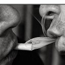 ���� �������, �����, 44 ���� - ��������� 30 ������� 2017