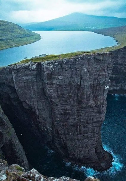 ����������� - ����� ��� �������