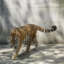 ���� ������, ������ - ��������� 3 ���� 2018 � ������ ���������Ż