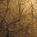 ���� ������, �������, 61 ��� - ��������� 9 ������ 2018 � ������ ����������� ��������� 2018.�