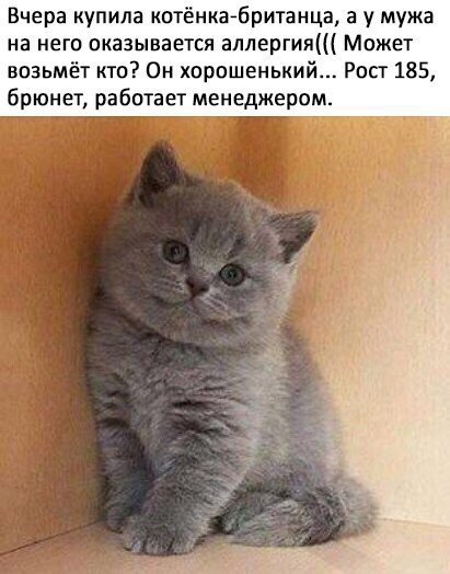       - 15  2018  03:40