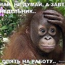  Andrey, , 52  -  29  2017