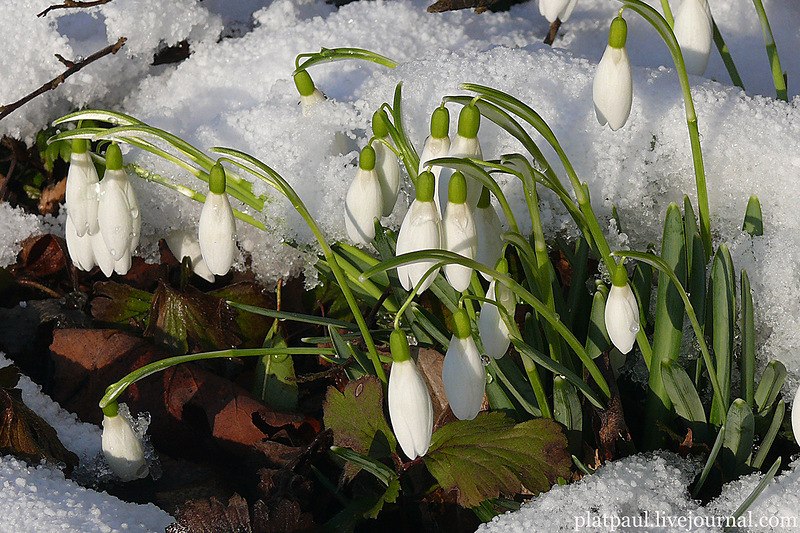 Aleksandr - 8  2018  12:17