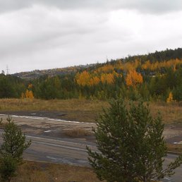 ������, �����, 49 ���