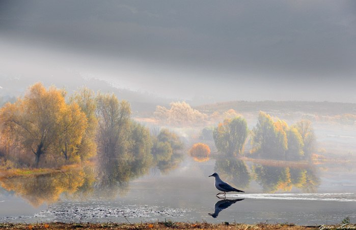 ))).Igor Zenin - 5