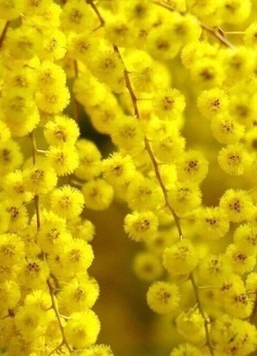   - 3  2018  03:45 - 3