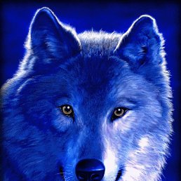 Andrea, �������